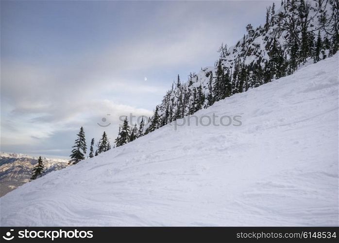Snow covered trees with mountain in winter, Kicking Horse Mountain Resort, Golden, British Columbia, Canada