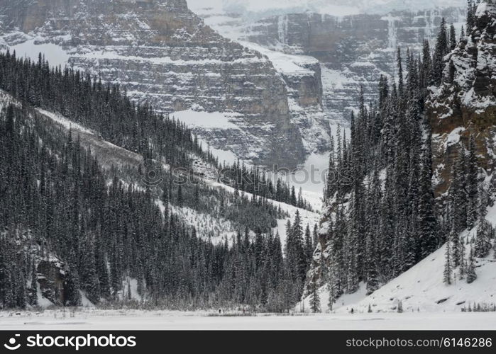 Snow covered trees with mountain, Lake Louise, Banff National Park, Alberta, Canada