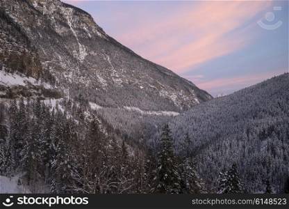 Snow covered trees with mountains in winter, Kicking Horse Mountain Resort, Golden, British Columbia, Canada