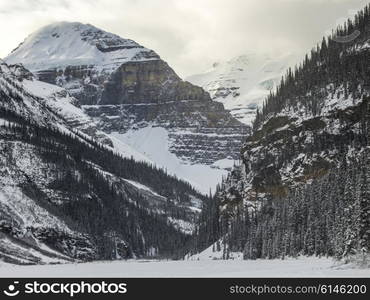 Snow covered trees with mountains in winter, Lake Louise, Banff National Park, Alberta, Canada