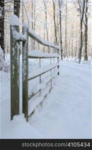Snow covered woodland path