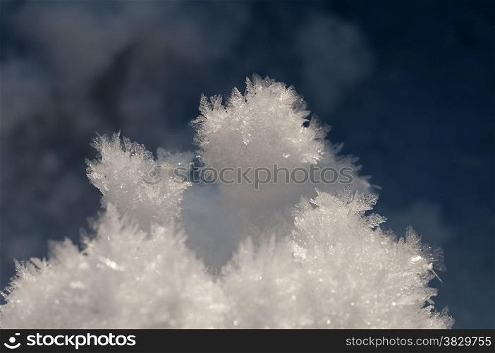 snow cristals in winter