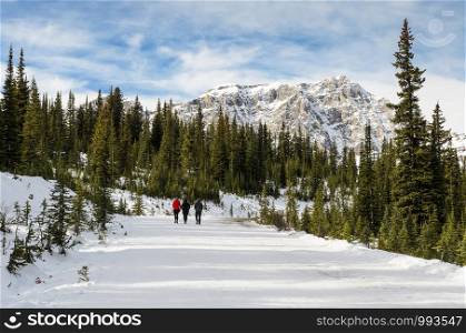 Snow hiking trail through the pine forest to Peyto Lake at Banff National Park in Alberta, Canada