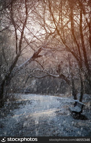 snow is coming before Christmas. winter forest. snow is coming before Christmas.