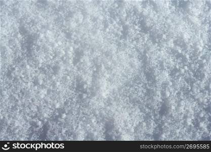 Snow macro detail. Iced textured white background