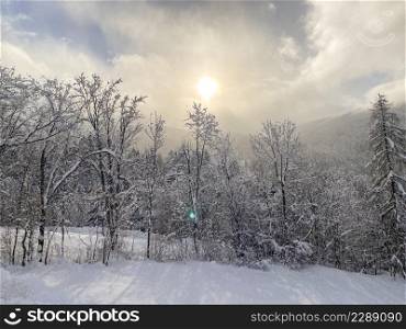 snow melting in the sunrise in Trentino winter season