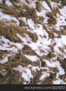 Snow Mixed With Brown Grass