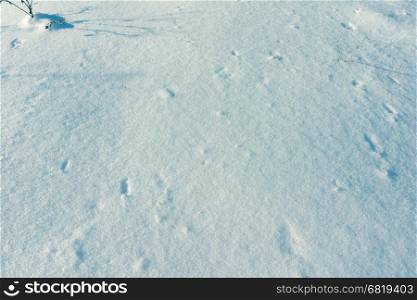 Snow Mounds in Early Morning Snow After a Fresh New Snowfall, Morning Abstract Snowy Field Surface Background, Background of Fresh Snow Texture in Blue Tone, Snowy Texture, Field of Snow