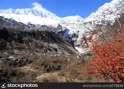 Snow mountain and color bush in october near Samagoon in Nepal