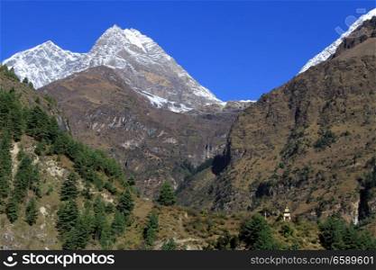 Snow mountain and forewst in Nepal