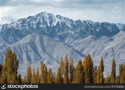 Snow Mountain View of Leh Ladakh District ,Norther part of India