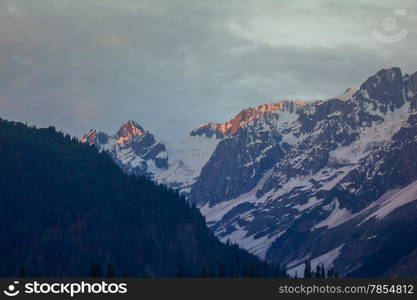 Snow mountain with forest