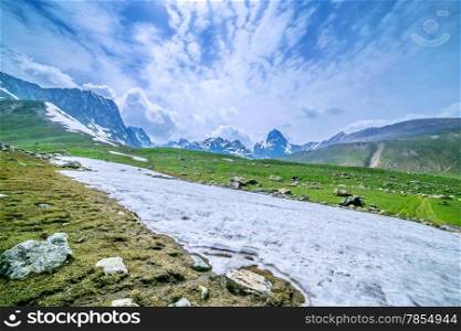 snow mountain with green field