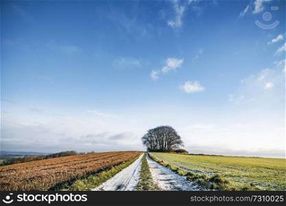 Snow on a countryside road with colorful fields on both sides under a blue sky