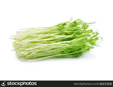 Snow pea sprouts on white background