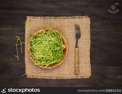 Snow Peas Sprouts on vintage burlap napkin and retro dark wooden table