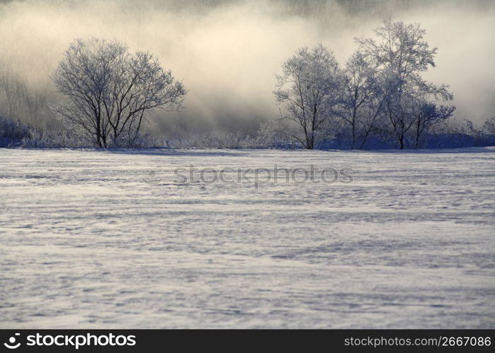 Snow scene