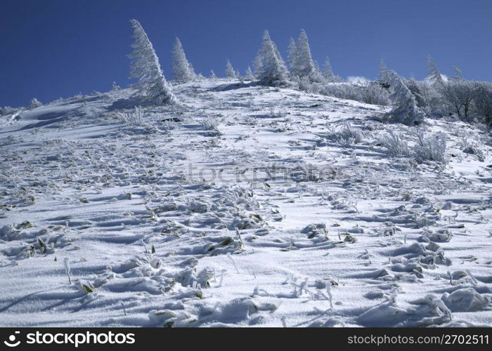 Snow scene