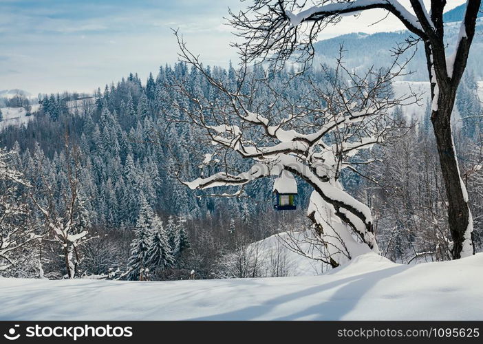 Snow slope with a bird feeder on a tree. Beautiful winter rural landscape, village or farm, sunny day, blue shadows, mountains and forest in backdrop