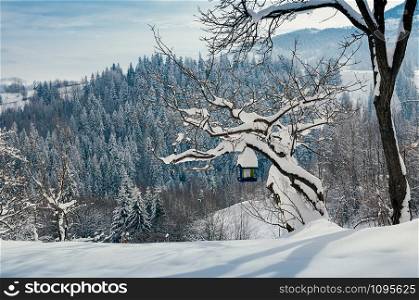 Snow slope with a bird feeder on a tree. Beautiful winter rural landscape, village or farm, sunny day, blue shadows, mountains and forest in backdrop