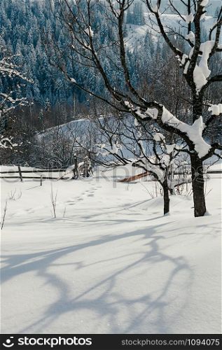 Snow slope with wooden fences. Winter rural landscape, village or farm, sunny day, blue shadows, mountains and forest in backdrop