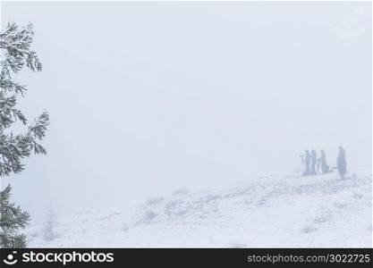 Snow trees in the mist, mystical atmosphere. A group of photographers in the fog. Copy space for text