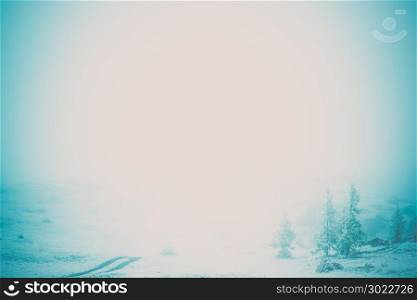 Snow trees in the mist, mystical atmosphere. Copy space for text