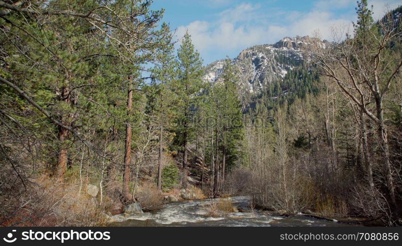 Snow water fills a creek in the Sierra Nevada mountain range