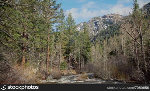 Snow water fills a creek in the Sierra Nevada mountain range