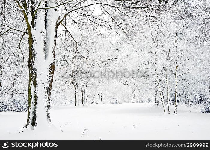 Snow Winter landscape countryside scene with English countryside