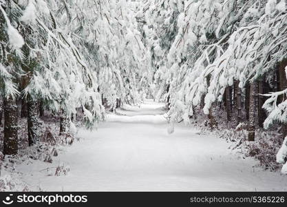 Snow Winter landscape countryside scene with English countryside