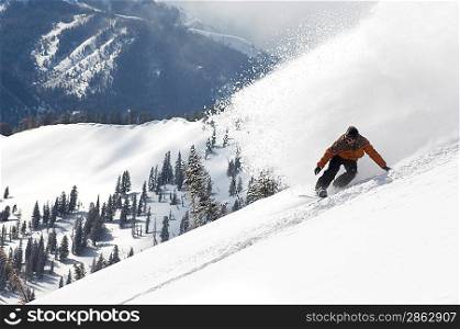 Snowboarder Enjoying Fresh Powder Snow