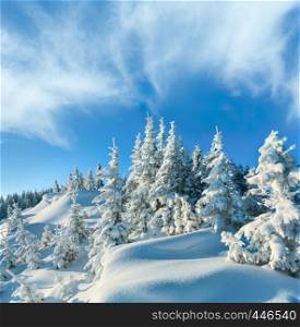 Snowdrifts on winter snow covered mountainside and fir trees on hill top and deep cloudy blue sky
