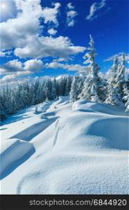 Snowdrifts on winter snow covered mountainside and fir trees on sunshiny mountain hill top