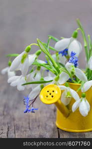 Snowdrops in a decorative bucket on wooden background