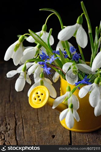 Snowdrops in a decorative bucket on wooden background