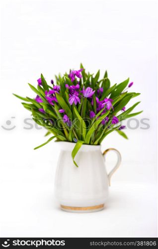snowdrops in a vase on a table on a white background