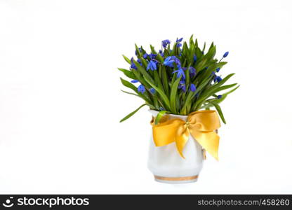 snowdrops in a vase on a table on a white background