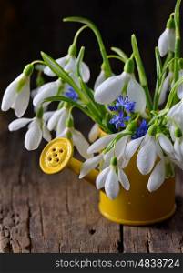 snowdrops in decorative yellow bucket on old wooden table