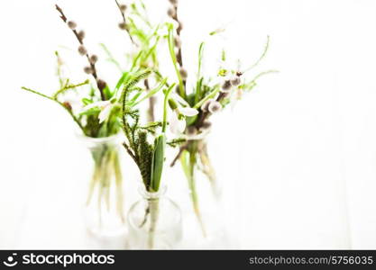 Snowdrops in the bottles, spring bouquets with shallow DOF