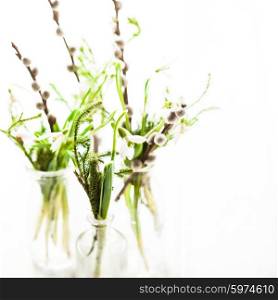 Snowdrops in the bottles, spring bouquets with shallow DOF