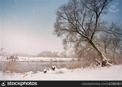 Snowfall over the river. Winter misty cloudy snowy weather. Cane and grass under snow and frost on a riverbank.