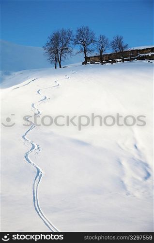 Snowfield with a ski trace; in backgroun an alpine farm, Italy.
