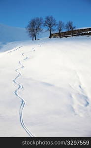 Snowfield with a ski trace; in backgroun an alpine farm, Italy.