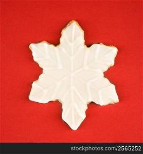 Snowflake sugar cookie with decorative icing.
