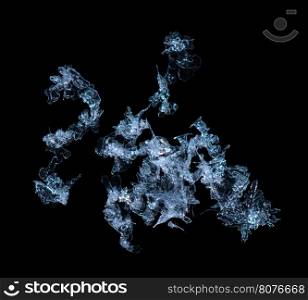 Snowflakes black isolated. Close up macro shot