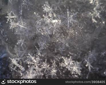 Snowflakes on Ice