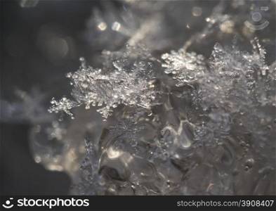 Snowflakes on Ice