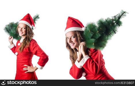Snowgirl with fir tree isolated on white