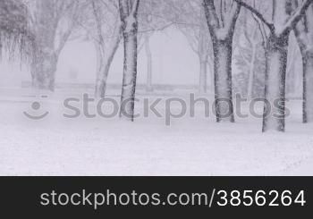 Snowing in park